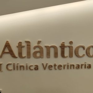 Letras fresadas CNC de paulownia interior Letras CNC Atlantico